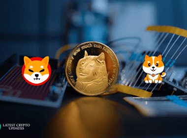 meme-coin-lcu-crashed