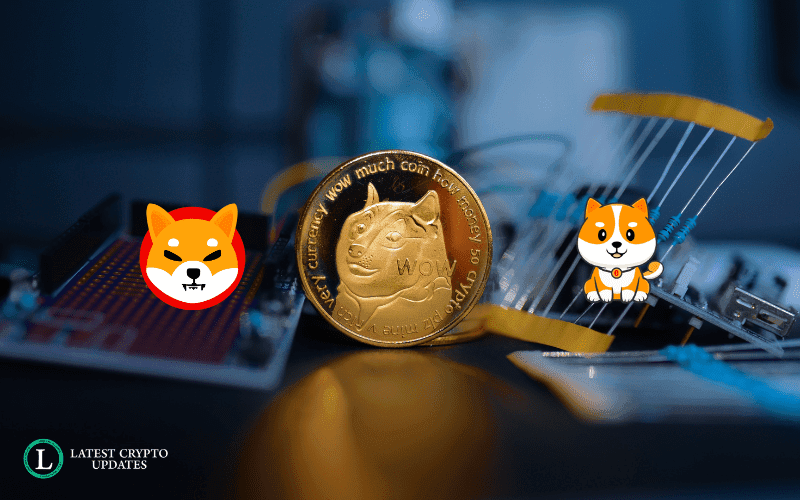 meme-coin-lcu-crashed