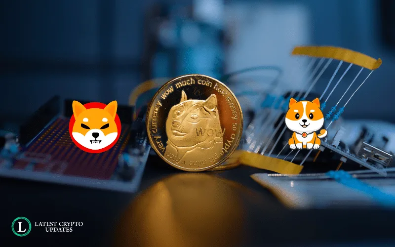 meme-coin-lcu-crashed