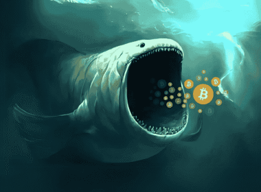 Infographic showing major Bitcoin holders including BlackRock, MicroStrategy, and Binance with their BTC holdings.